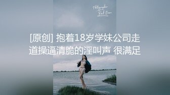 Al&mdash;凑崎纱夏 惊人的性交口内射