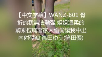 【中文字幕】WANZ-801 骨折的我無法動彈 姐姐溫柔的騎乘位瞞著家人偷偷讓我中出內射發洩 篠田ゆう(篠田優)