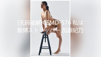 黑丝高跟大长腿模特被干的胡言乱语，招单女调教