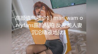 高颜值气质少妇 mari wam onlyfans露脸私拍 反差美人妻沉沦精液地狱3