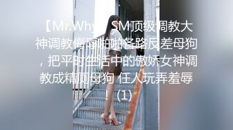 【Mr.Why】SM顶级调教大神调教侮辱啪啪各路反差母狗，把平时生活中的傲娇女神调教成精厕母狗 任人玩弄羞辱！ (1)