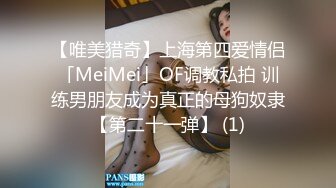 【唯美猎奇】上海第四爱情侣「MeiMei」OF调教私拍 训练男朋友成为真正的母狗奴隶【第二十一弹】 (1)