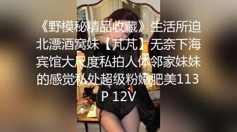 无敌少妇第一季