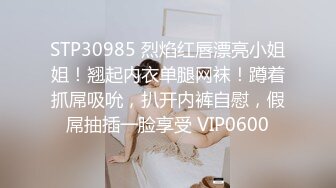 STP30985 烈焰红唇漂亮小姐姐！翘起内衣单腿网袜！蹲着抓屌吸吮，扒开内裤自慰，假屌抽插一脸享受 VIP0600