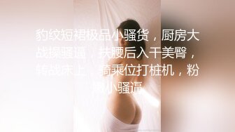 餐厅女厕全景偷拍牛仔裤美女毛毛逼阴唇还不算太黑