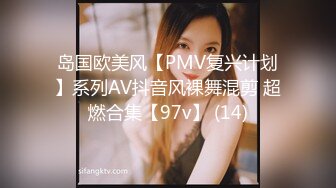 国产麻豆AV MD MD0054 保安强奸女业主 夏滢