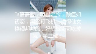 国产麻豆AV 麻豆番外 性爱番外篇 突袭女优计划 EP2 肉棒突击队强制要求与主持人发生性爱 艾秋