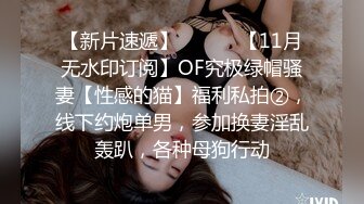 【新片速遞】 ⚫️⚫️【11月无水印订阅】OF究极绿帽骚妻【性感的猫】福利私拍②，线下约炮单男，参加换妻淫乱轰趴，各种母狗行动