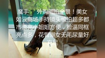 黑大衣紫丁内