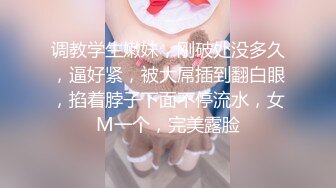 【新片速遞】  王子系列闯入篇 步行街仿古红木女厕❤️好几个高颜值的小姐姐