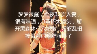 1/17最新 网恋奔现骚阿姨插入饥渴的妈妈VIP1196