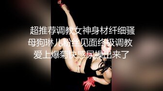  超推荐调教女神身材纤细骚母狗琳儿粉丝见面终极调教 爱上爆菊快感尿操出来了