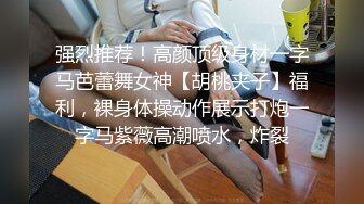 【极品反差婊】深圳某公司高冷白领御姐女神王琪为了上位变身风骚母狗 在酒店被领导抽打无套爆操！