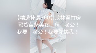 后入打桩纹身骚货