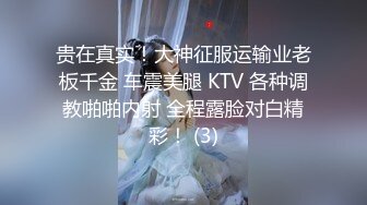 贵在真实！大神征服运输业老板千金 车震美腿 KTV 各种调教啪啪内射 全程露脸对白精彩！ (3)