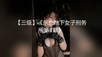 LJ极品地铁高清CD系列20部合集 (20)