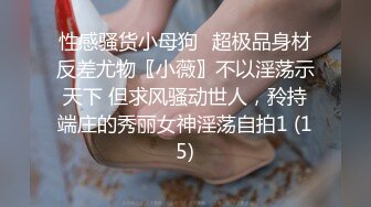 后入骚老婆。超级肥臀2