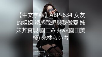 【中文字幕】ABP-634 女友的姐姐 誘惑我想與我做愛 姊妹丼實現 園田みおん(園田美櫻) 來棲らいち