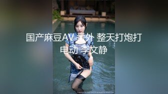 国产麻豆AV 番外 整天打炮打电动 李文静