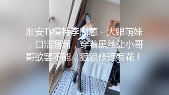 女仆制服装，撅起屁股讨好主人，对白清晰