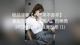 极品淫妻【小肥羊不是羊】，喜欢不同的陌生男人，约单男3P口爆吞精，极度反差 (1)