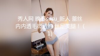 秀人网 晚苏susu_新人 蕾丝内内透毛微透鲍 丝足美腿！ (1)