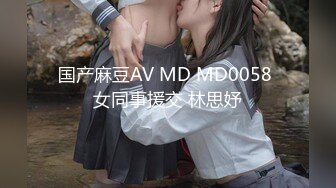 国产麻豆AV MD MD0058 女同事援交 林思妤