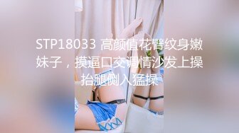 STP18033 高颜值花臂纹身嫩妹子，摸逼口交调情沙发上操抬腿侧入猛操