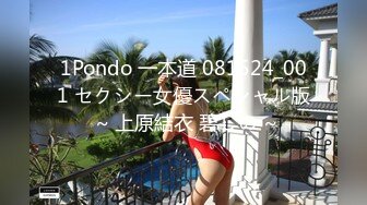 1Pondo 一本道 081524_001 セクシー女優スペシャル版 ~ 上原結衣 碧しの ~