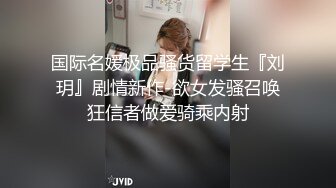 视频调教骚母狗