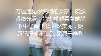 女女伴侣使用双头玩具特写