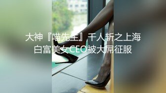 大神『喵先生』千人斩之上海白富美女CEO被大屌征服