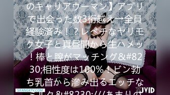 10年で僕専用メイドが凄い女体に成長しちゃった。 水野朝陽