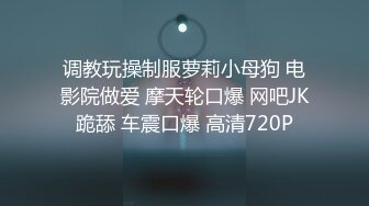 调教玩操制服萝莉小母狗 电影院做爱 摩天轮口爆 网吧JK跪舔 车震口爆 高清720P