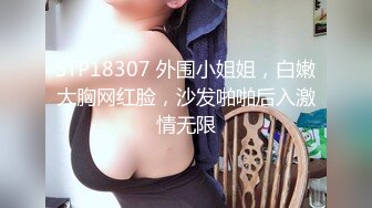 STP18307 外围小姐姐，白嫩大胸网红脸，沙发啪啪后入激情无限