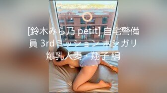 [鈴木みら乃 petit] 自宅警備員 3rdミッション ホシガリ爆乳人妻・翔子 編