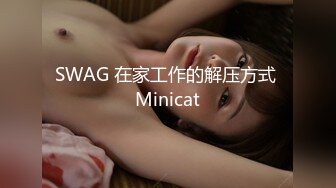 SWAG 在家工作的解压方式 Minicat