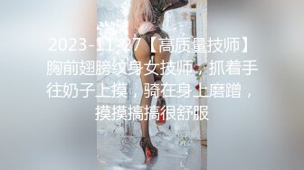 2023-11-27【高质量技师】胸前翅膀纹身女技师，抓着手往奶子上摸，骑在身上磨蹭，摸摸搞搞很舒服