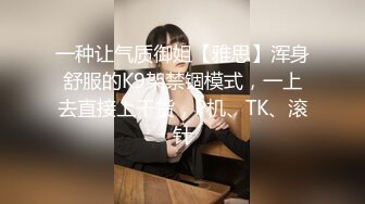 一种让气质御姐【雅思】浑身舒服的K9架禁锢模式，一上去直接上干货，P机、TK、滚针