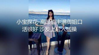 小宝探花-高颜值丰满御姐口活很好 沙发上后入猛操