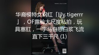 华裔模特女网红「lily tigerrr」，OF露脸大尺度私拍，玩具塞肛，一字马自慰白浆飞流直下三千尺 (1)