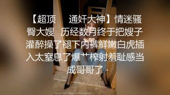 臺灣職業棒球啦啦隊蘇怡靜事件1