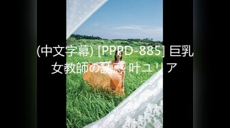 (中文字幕) [PPPD-885] 巨乳女教師の誘惑 叶ユリア