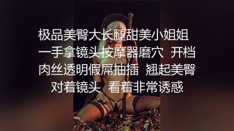 极品美臀大长腿甜美小姐姐  一手拿镜头按摩器磨穴  开档肉丝透明假屌抽插  翘起美臀对着镜头  看着非常诱惑