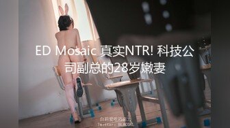 ED Mosaic 真实NTR! 科技公司副总的28岁嫩妻