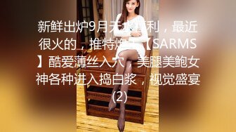 新鲜出炉9月无水福利，最近很火的，推特炮王【SARMS】酷爱薄丝入穴，美腿美鲍女神各种进入捣白浆，视觉盛宴 (2)