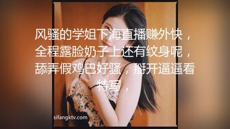 烈焰红唇花臂纹身美乳小姐姐  脱掉衣服扭动细腰  坐在椅子上振动棒插穴