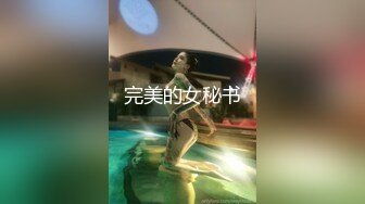 完美的女秘书