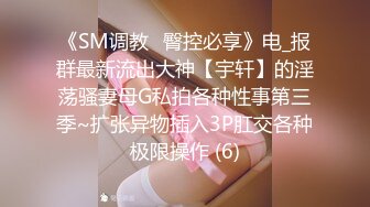 《SM调教✅臀控必享》电_报群最新流出大神【宇轩】的淫荡骚妻母G私拍各种性事第三季~扩张异物插入3P肛交各种极限操作 (6)