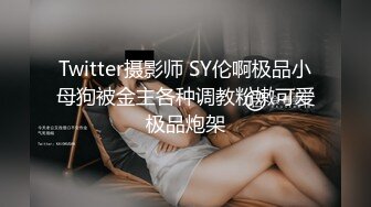 Twitter摄影师 SY伦啊极品小母狗被金主各种调教粉嫩可爱极品炮架